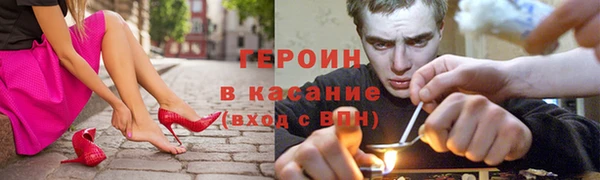 крисы Бородино