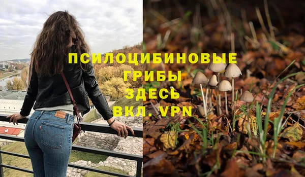 хмурый Вязники