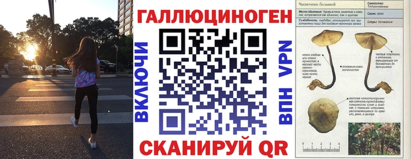 Галлюциногенные грибы мицелий  Знаменск 